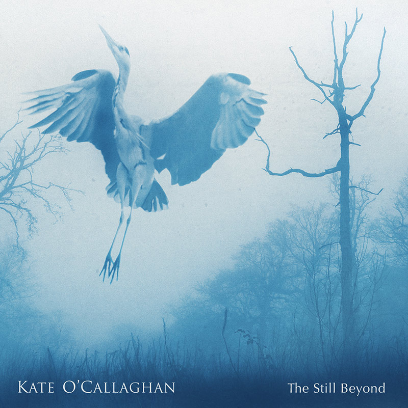 Kate O'Callaghan